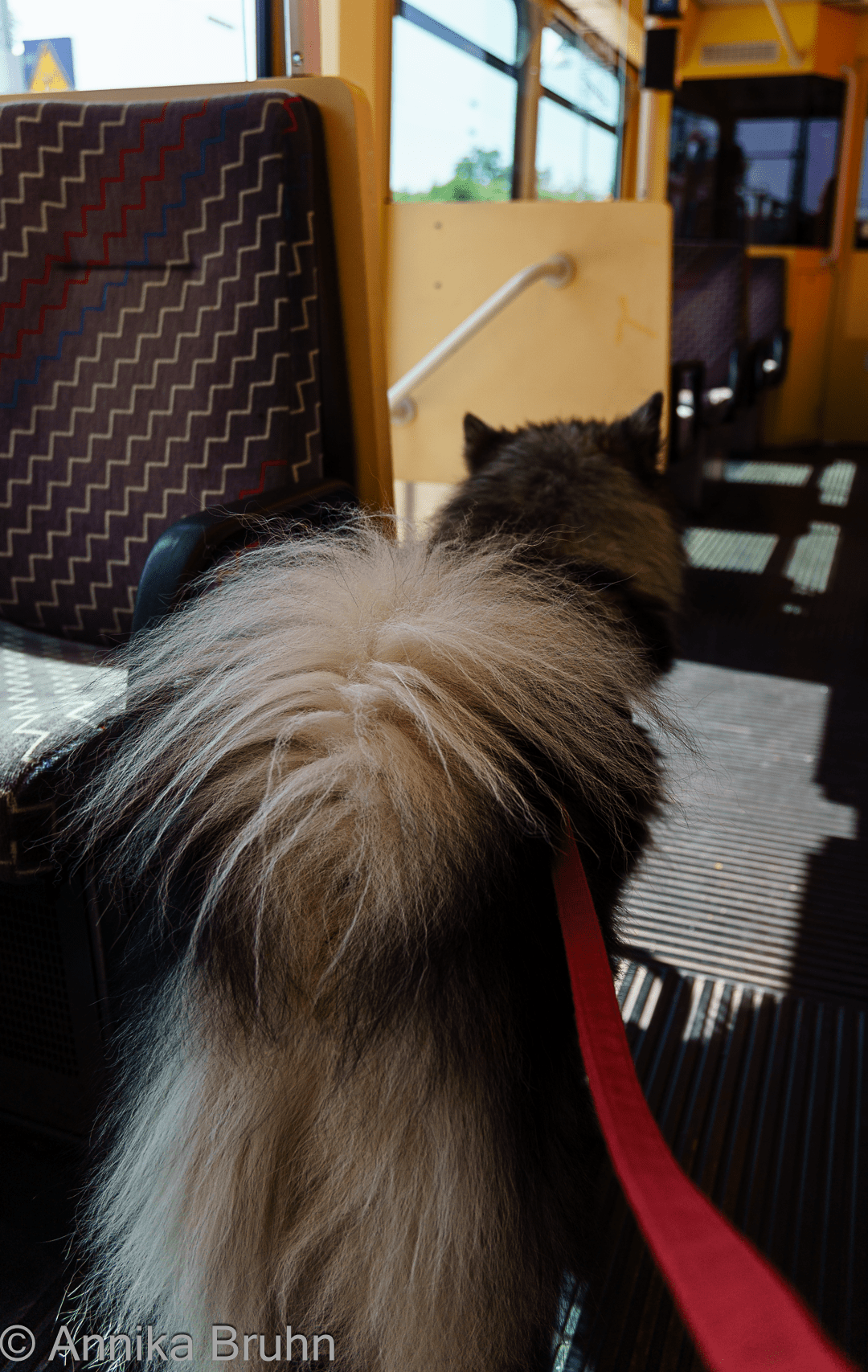 Q fahrt wieder Bahn!